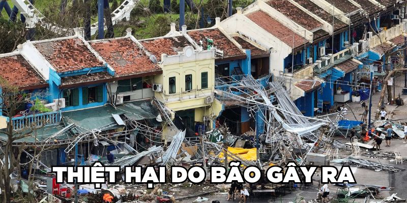 Thiệt hại do bão gây ra